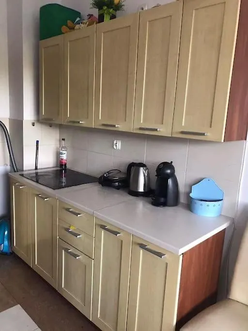 Przy Parku Klimatyzacja Parking Wifi Apartment Wroclaw Poland